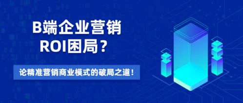 B端企業(yè)營(yíng)銷ROI困局與破局 精準(zhǔn)營(yíng)銷模式下的信息技術(shù)咨詢服務(wù)價(jià)值探析